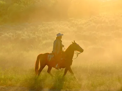 A woman and her equine push a herd of horses on a hazy morning near Grand Teton National Park.

