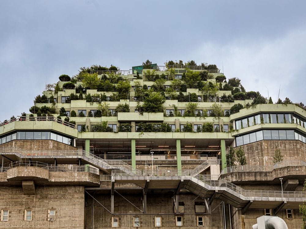 Pyramid-shaped structure with plants