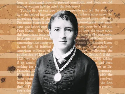 In 1881, Fanny Angelina Hesse suggested agar, a jelly-like substance she used in cooking, as a replacement for gelatin, which scientists used to study microorganisms.