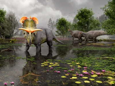 A reconstruction of&nbsp;Lokiceratops&nbsp;in the 78-million-year-old swamps of northern Montana&mdash;as two&nbsp;Probrachylophosaurus&nbsp;move past in the background.