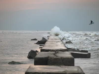 The giant blocks of a stone jetty stretch out into the water around Galveston.